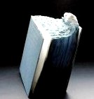 Горы из книг - арт-проект Гая Ларами () Горы из книг - арт-проект Гая Ларами