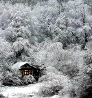 Хижина в лесу или домик у моря - мечта дауншифтера () Хижина в лесу или домик у моря - мечта дауншифтера