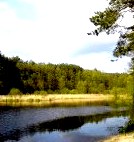 Фотографии красивой природы (Киевская область) () Фотографии красивой природы (Киевская область)