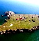 Подводные тайны Змеиного острова - интересный дайвинг! () Подводные тайны Змеиного острова - интересный дайвинг!