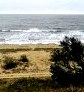 Когда лучше ехать в Крым? Какой сезон (месяц) в Крыму лучший для отдыха () Когда лучше ехать в Крым? Какой сезон (месяц) в Крыму лучший для отдыха
