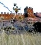 Недорогой отдых в Крыму – цены в частном секторе () Недорогой отдых в Крыму – цены в частном секторе